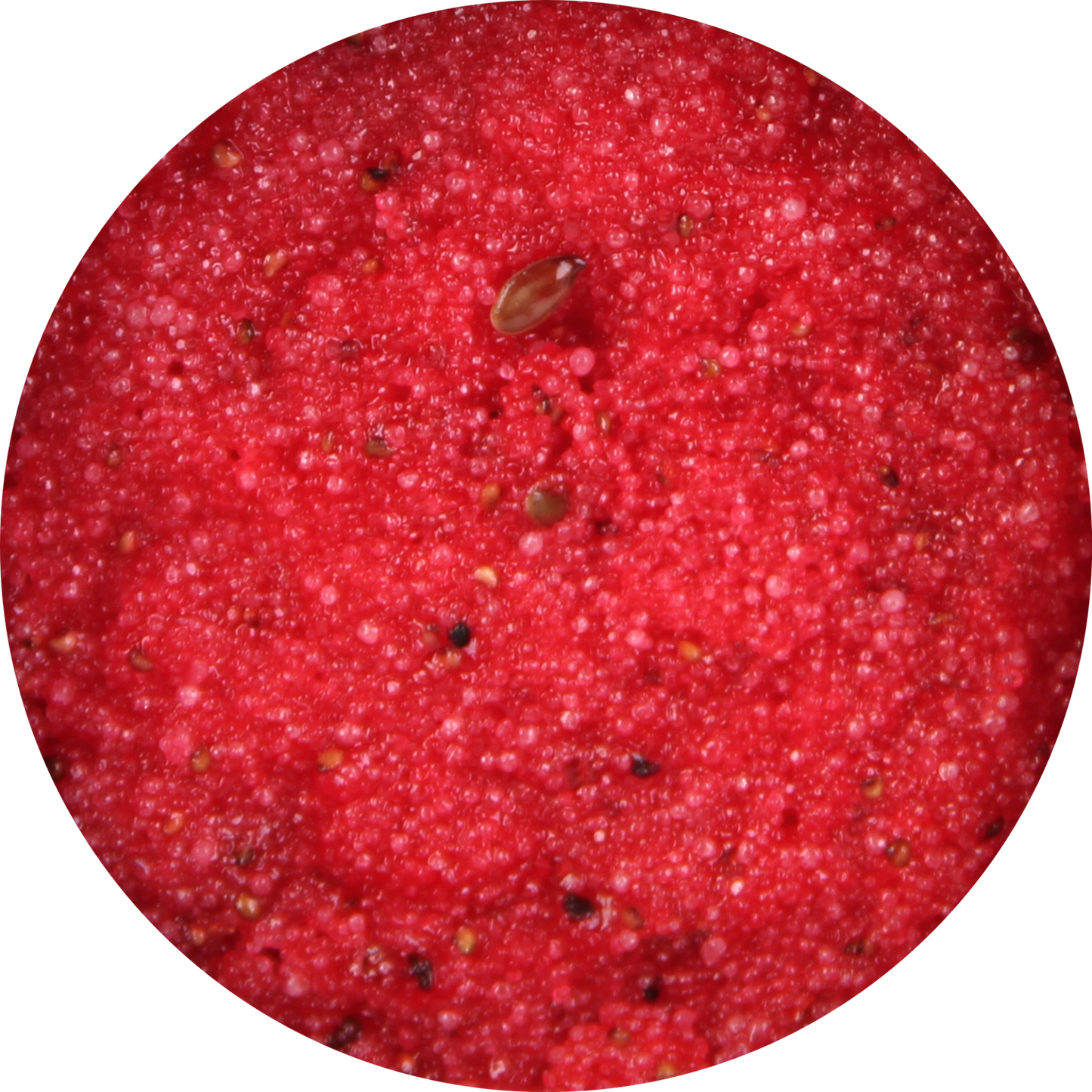 Rasberry Blush Body Scrub, Renewing